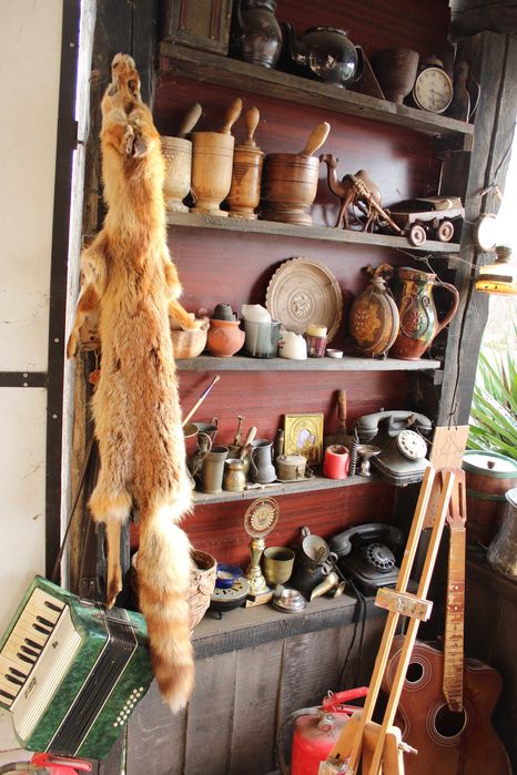 Кожа на лисица - естествена