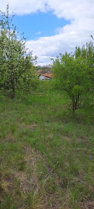 Продавам парцел с възможност за регулация в село Извор Софииска област