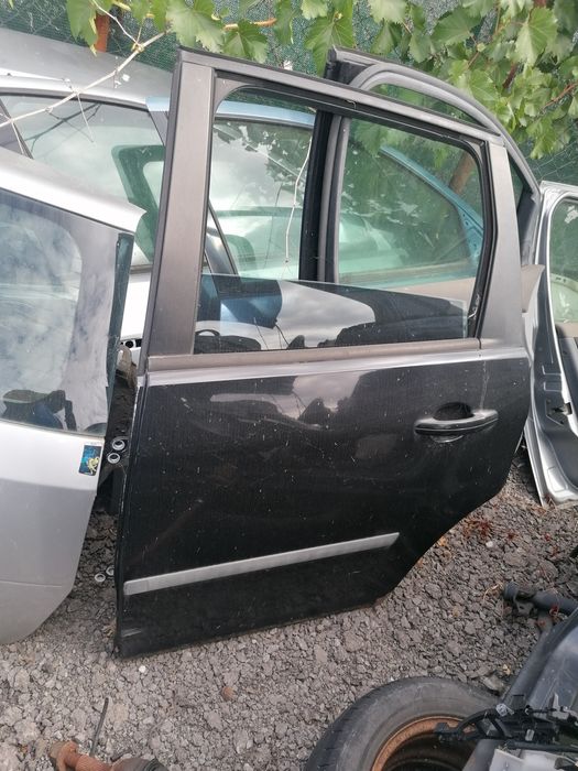 Usa geam aripa capota portiera bara Ford C-max