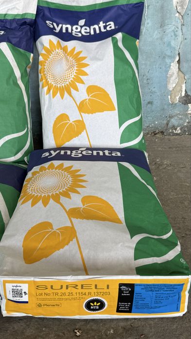 Vând samânta floare soarelui sygenta