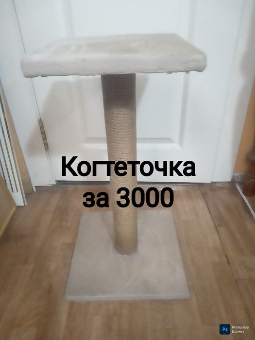 Когтеточка с полкой