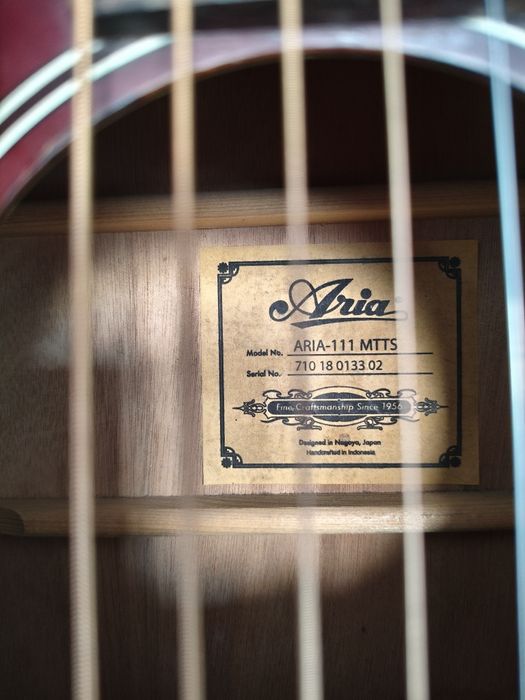ARIA-111 MTTS Акустическая гитара