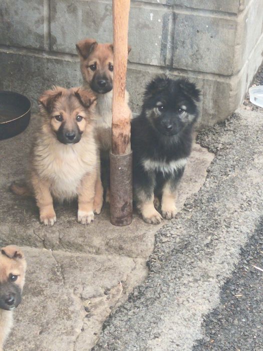 Отдам в хорошие руки.