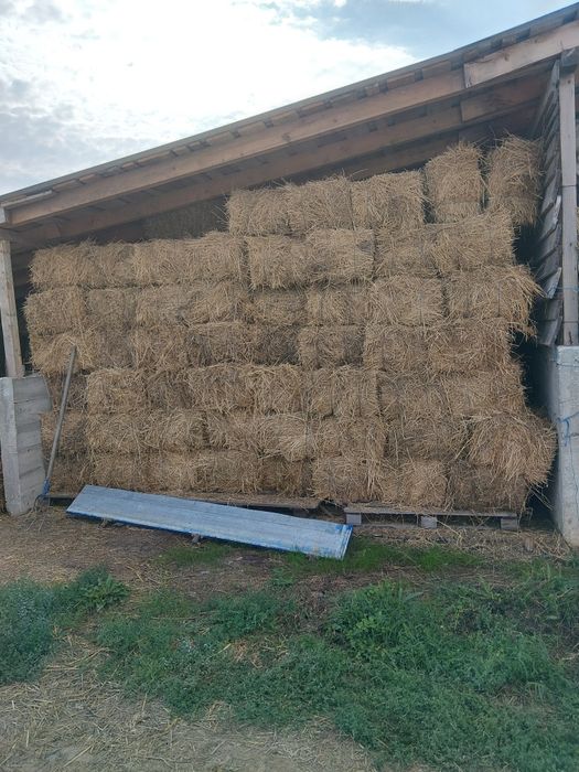 Baloti lucerna/fan/paie