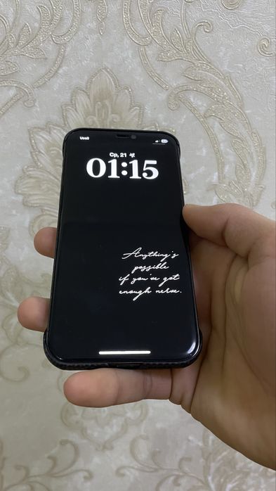 iphone 12 pro srochna