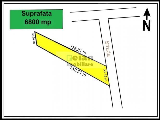 Ciolpani - Caro Events, Padure, 6800 mp, Padure, 58 ml deschidere