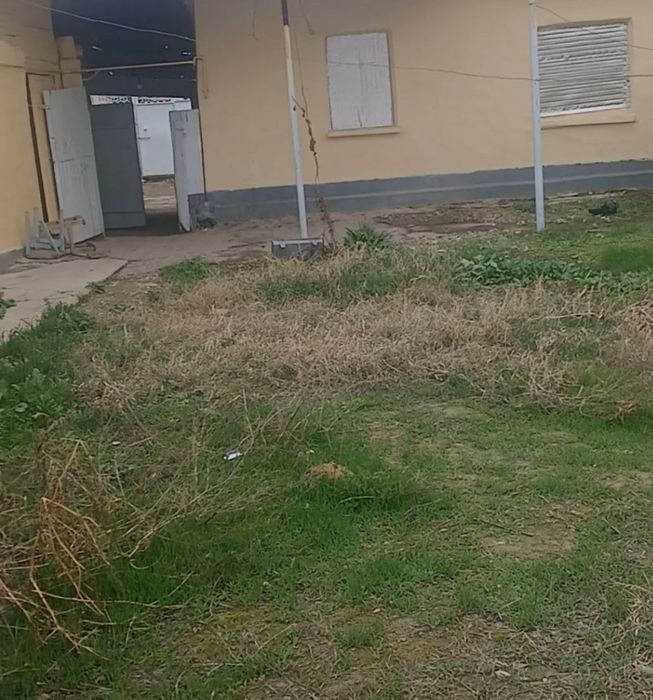 Продаётся дом в Сырдарье. В доме 4 комнаты, баня, кухня отдельно.
