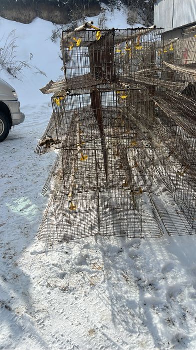 Клетки для кур несушек