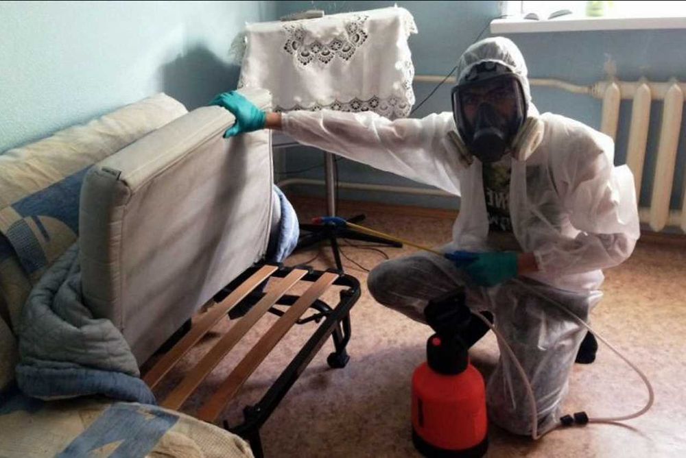 Dezinfeksiya dezenfeksiya dizinfeksiya Обработка от тараканов клопов