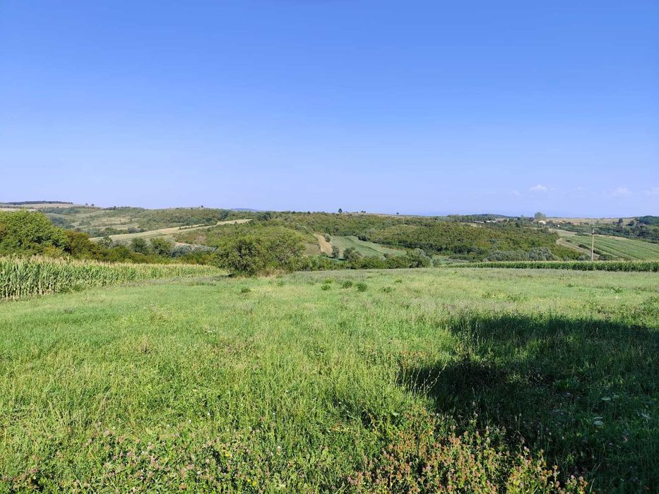 Vand Casa in Calea Mare Judetul Bihor