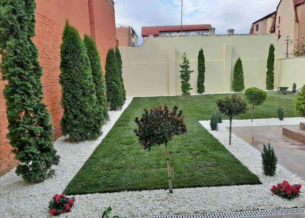 Gazon rulou sport,Tuia Brazi Mesteacan etc