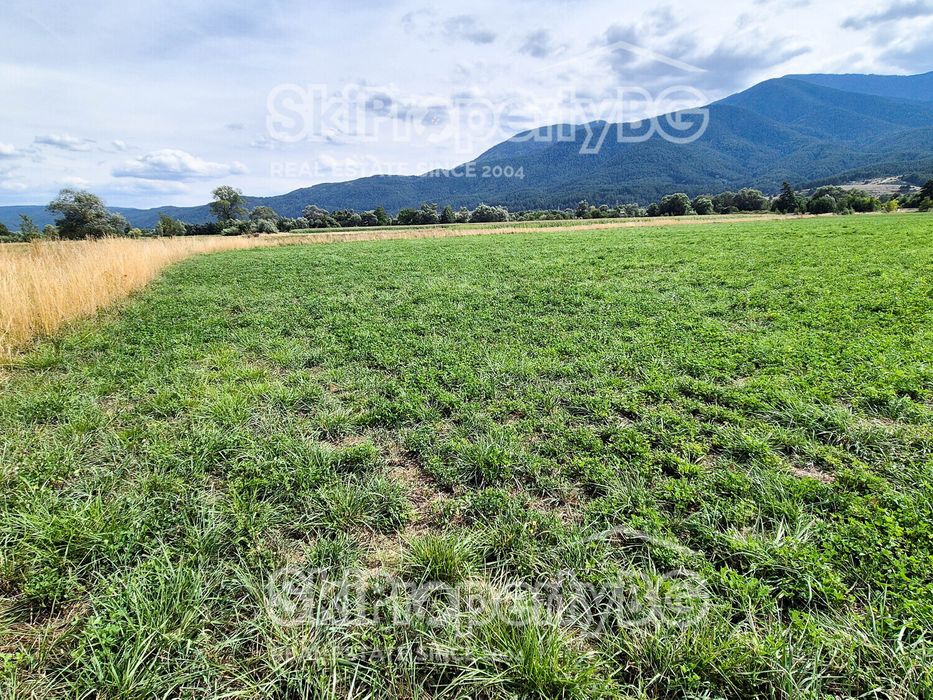 Предлагаме два съседни имота за продажба!