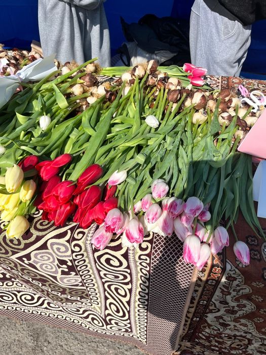 Тюльпаны свежие,пишите в ватсап