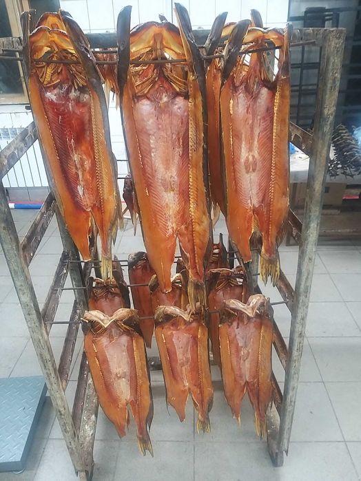 пеледь Боровое горячего копчения