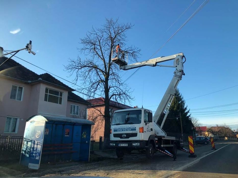 Toaletari , taiere , defrisare si cosmetizare copaci