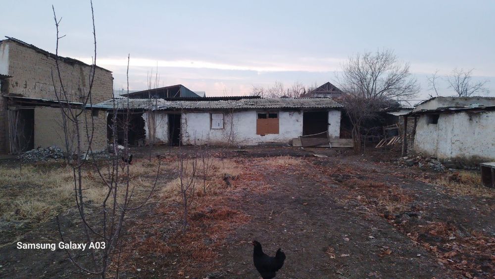 Миндоноботда чек сотилади