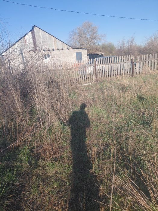 Продам дачу садоводство "берёзовая олея"