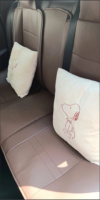 Чехлы в салон автомобиля