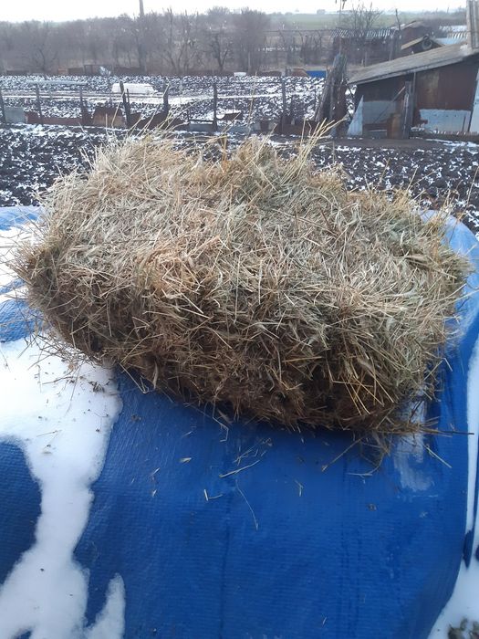 Vând baloti iarba cu lucernă