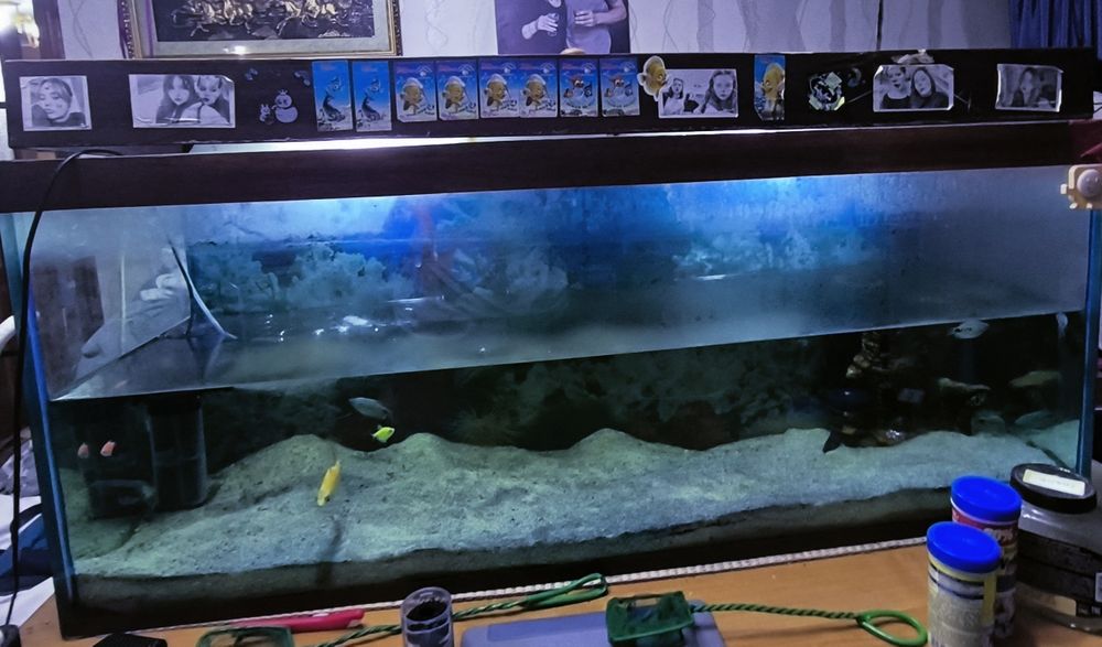 Аквариум срочно 200 литров!!