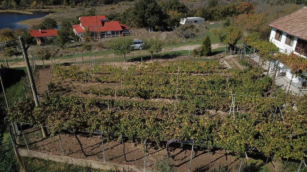 Продава се Къща в с. Златосел, Област Пловдив - 130 кв.м за 1454 €/кв.м - Снимка #2