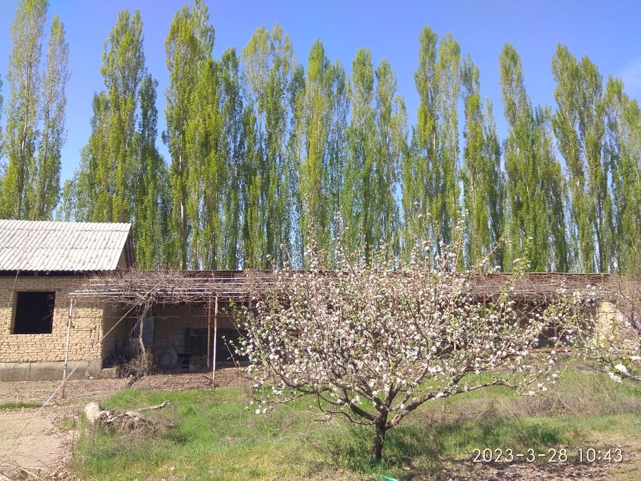 Ховли уй 21 сотик Хонобод шахри