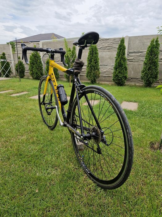 Cursiera Carrera pro