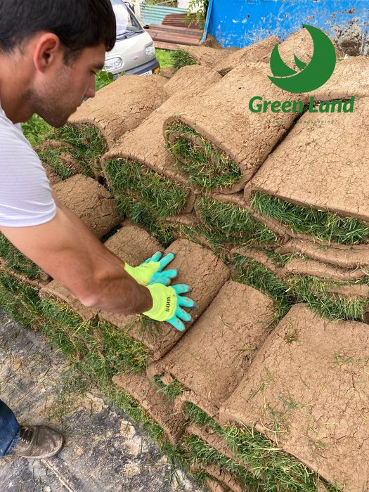 Gazon/Газон (рулонный), укладка газона, автополив, ландшафтный дизайн ...