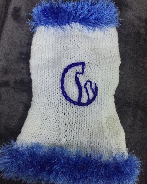 Одежда для кошек и собак