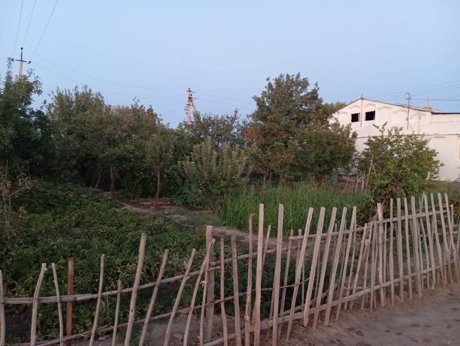 Xojeli amiwdarya xatep apj