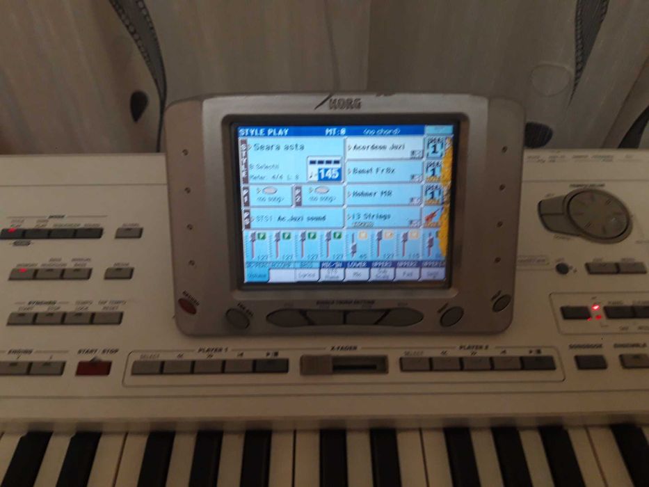 vind korg pa2xpro