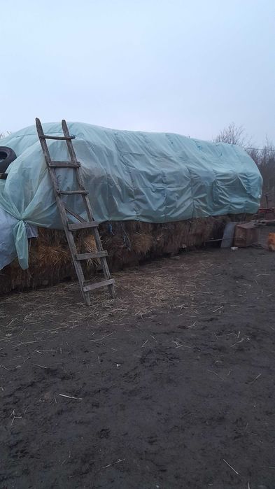 Baloți lucernă și ovăz de vânzare