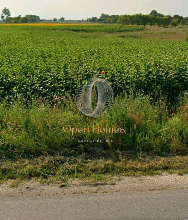 Парцел в Пловдив, област-с.Маноле