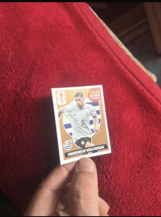 Extra sticker panini