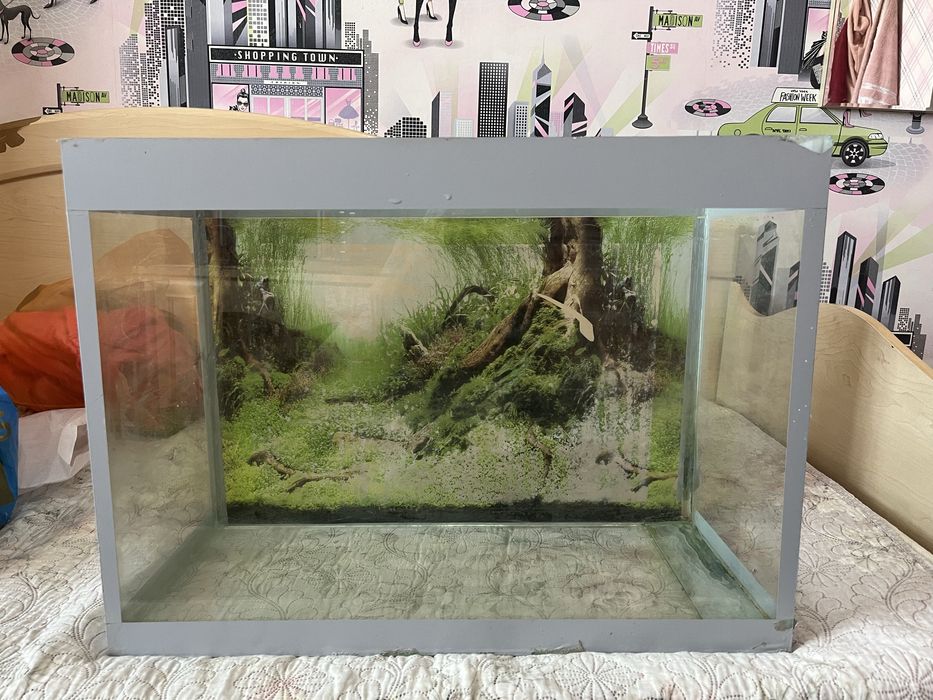 Аквариум хороший!