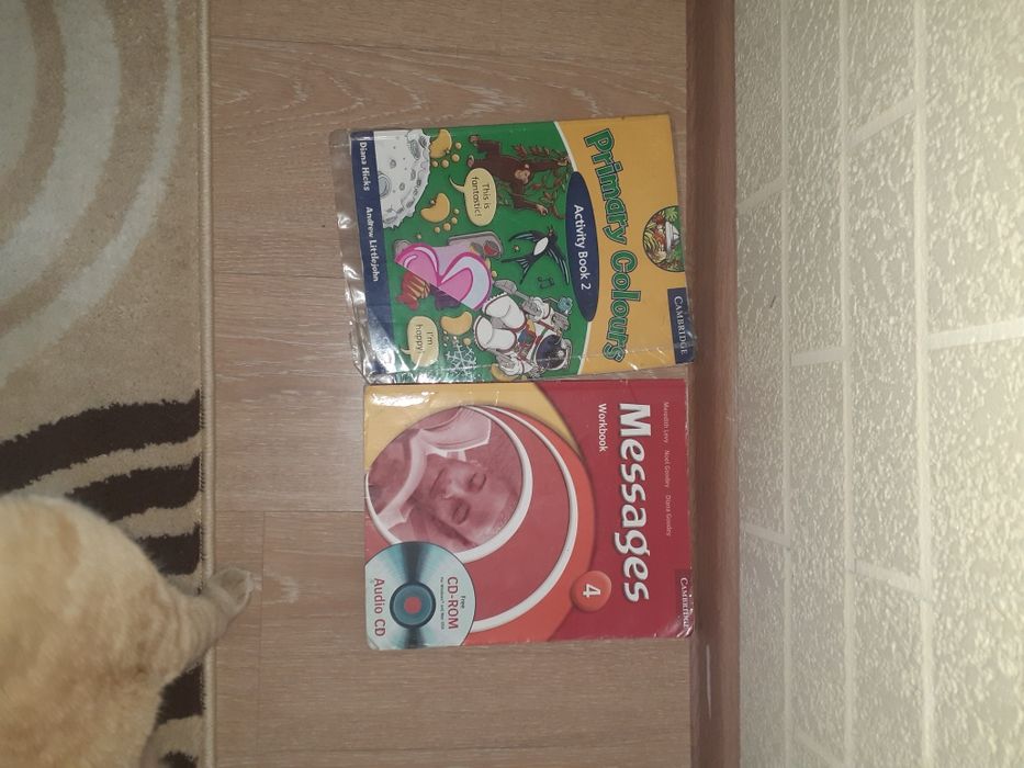 Учебники разные,рабочие тетради