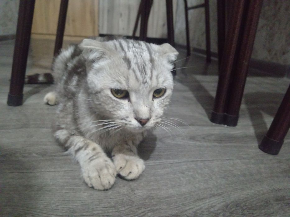 Privat onlayn toliq metrajli porno filmlar