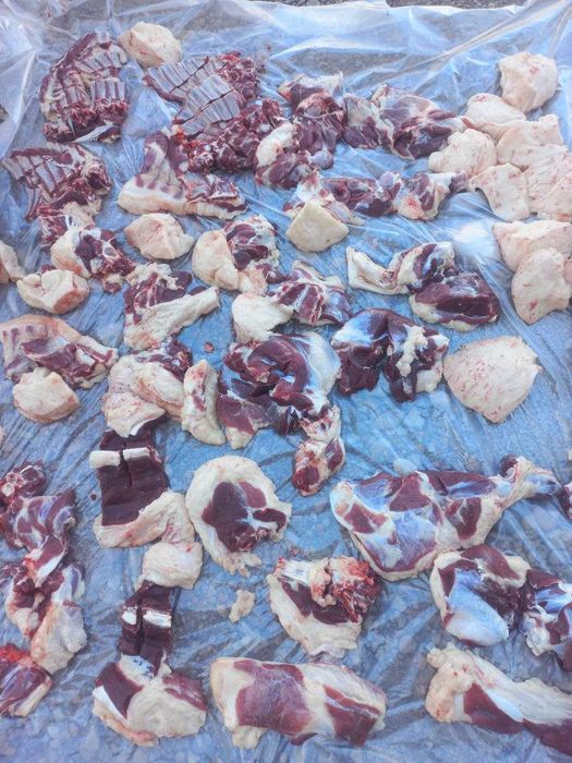 Qassob xizmati | Услуга Мясника | 24/7