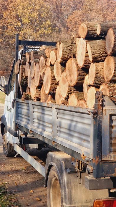 Lemne de foc la metru.