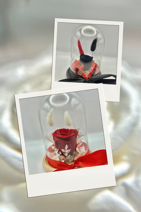 Trandafir criogenat in cupola