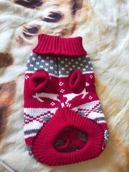 Одежда для собак