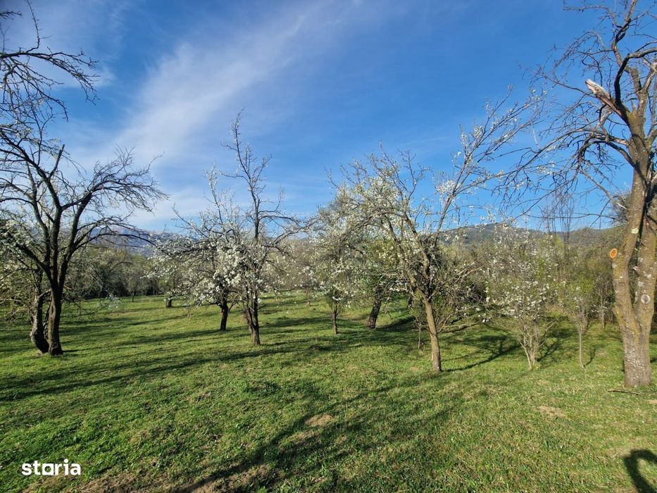Teren intravilan Breaza zona retrasa