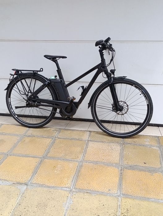 Ralegh Ashford s11