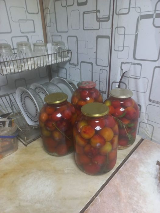 Продам домашние помидоры