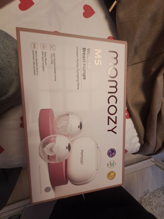 Pompa de san momcozy