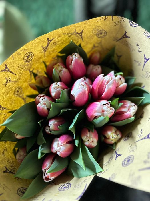 Тюльпаны к 8 марта и 14 февраля .