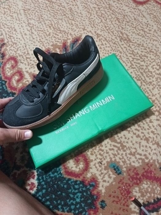 Kedi puma ship sang minmin