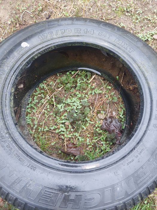 Vand cauciuri urgent