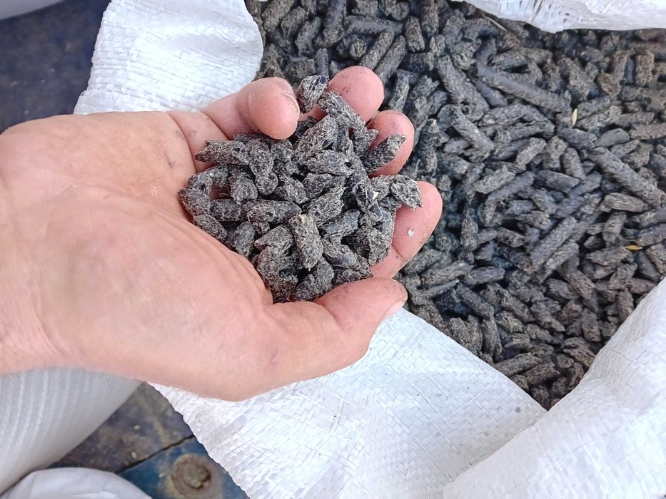 Vind Srot Floarea Soarelui Granulat foarte bine uscat si super calit