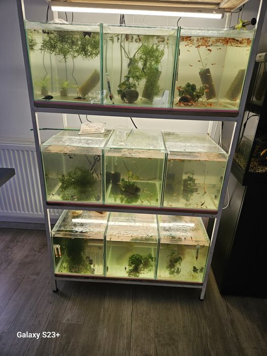 Acvariu de vanzare 450litri, 160litri,110litri cu
